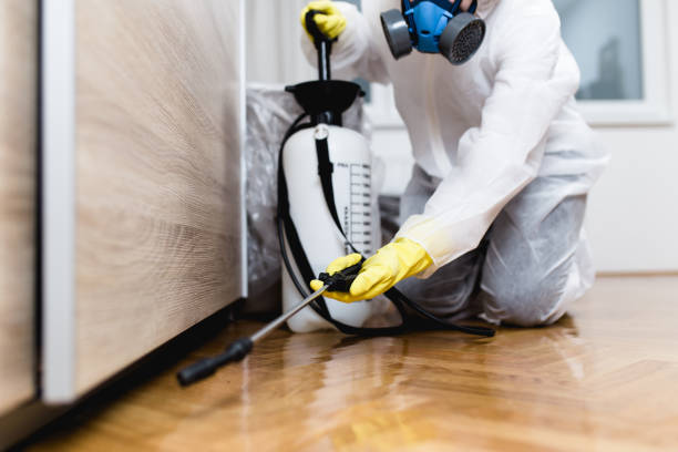 Best Pest Removal Services  in University Heights, IA