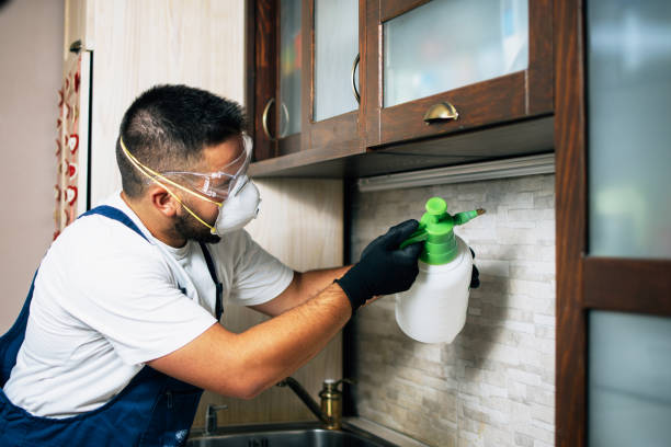 Best Affordable Pest Control Services  in University Heights, IA