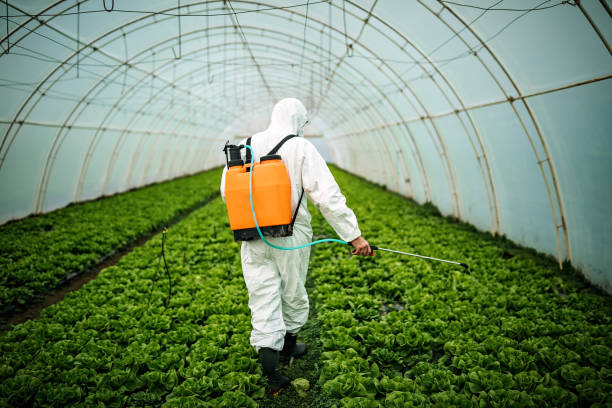Best Pest Inspection Near Me  in University Heights, IA