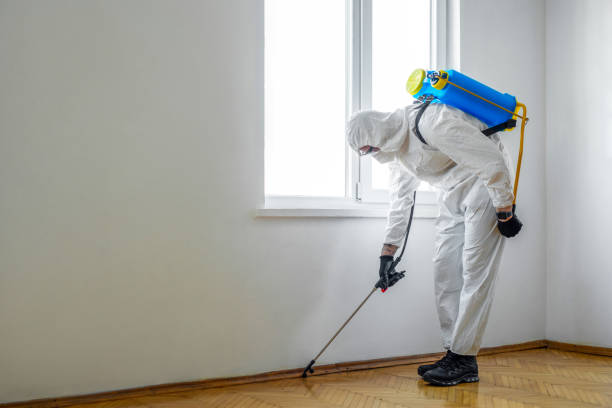  University Heights, IA Pest Control Pros